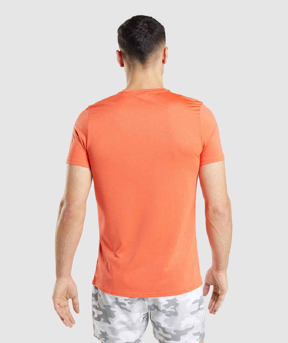 T Shirts Męskie Gymshark Arrival Grafiką Pomarańczowe | PL 3853LIS